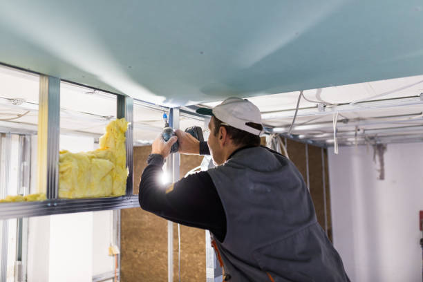 Best Blown-in Insulation  in Duncansville, PA