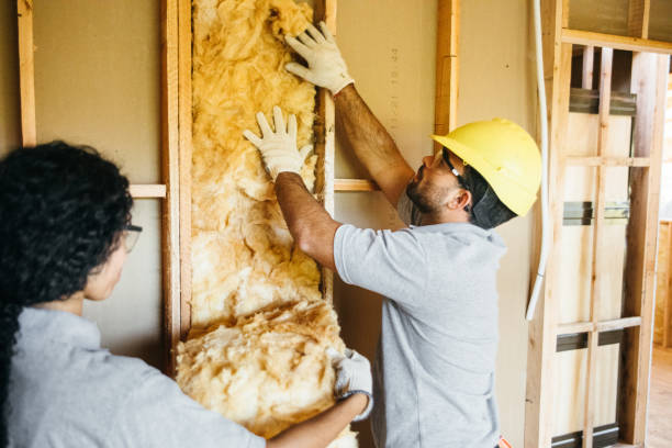Best Blown-in Insulation  in Duncansville, PA