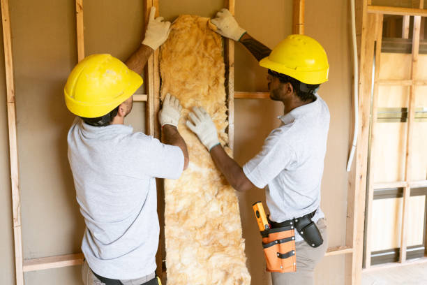 Best Insulation Contractors for Homes  in Duncansville, PA