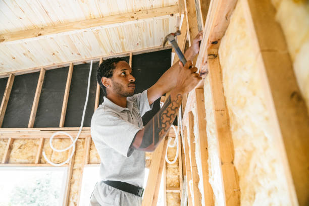 Best Home Insulation Services  in Duncansville, PA