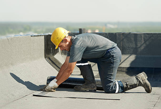 Best Insulation Contractors for Homes  in Duncansville, PA