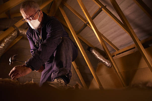 Best Professional Insulation Contractor  in Duncansville, PA